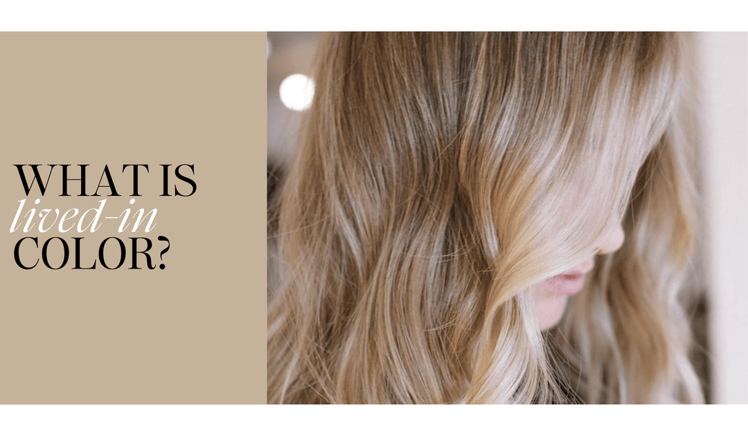 What Is Lived In Color? - Jayden Presleigh, The Salon