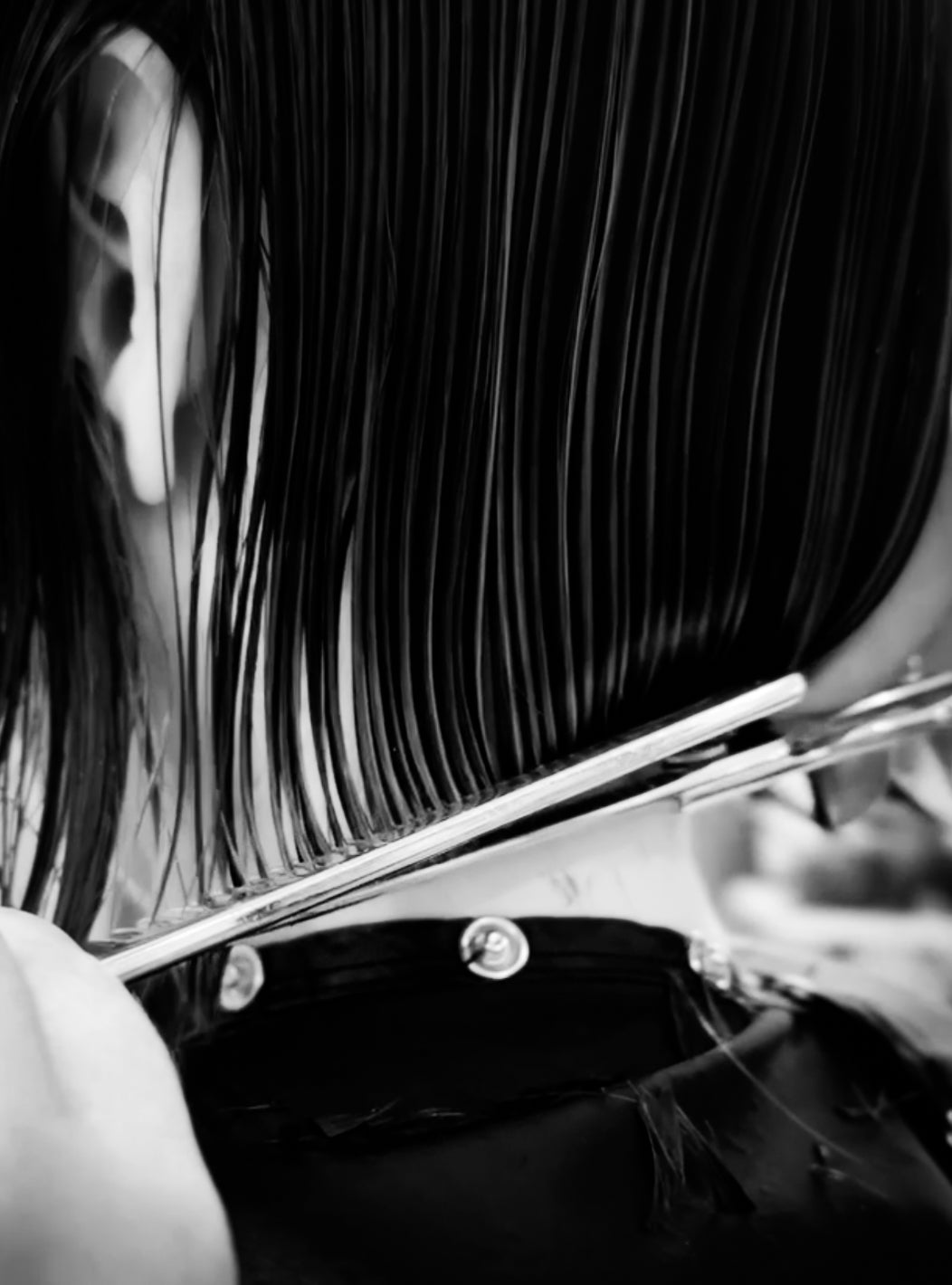 Stylist cutting hair at Jayden Presleigh, The Salon in Carlsbad CA