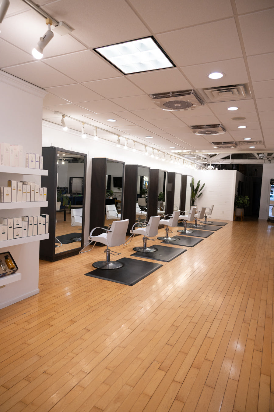 Interior of Jayden Presleigh The Salon at 2946 State Street in Carlsbad Village, CA — serving clients across North County San Diego
